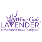 White Oak Lavender Farm